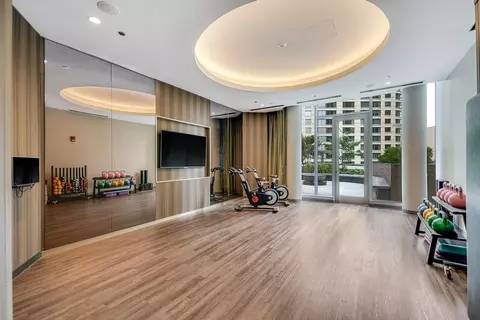 545 N Mcclurg Ct, Chicago, IL 60611 photo 30