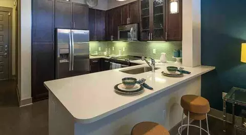 2424 Capitol St, Houston, TX 77003 photo 18