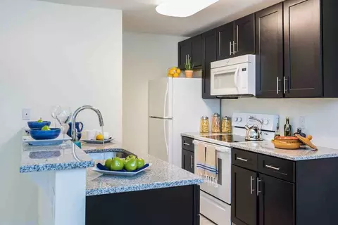 265 W Mount Pleasant Ave, Philadelphia, PA 19119