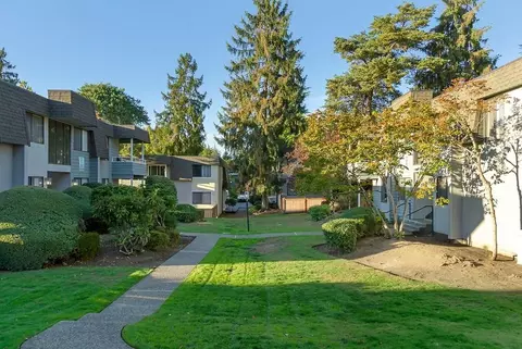 13808 NE 12th St, Bellevue, WA 98005 photo 23