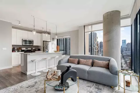 N Sandburg Ter, Chicago, IL 60610