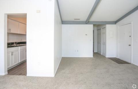 7001 Aloma Ave, Winter Park, FL 32792 photo 4