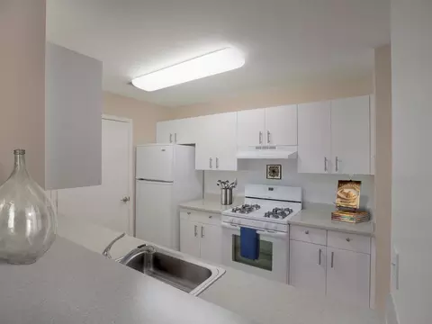 313 Avalon Cir, Smithtown, NY 11787 photo 13