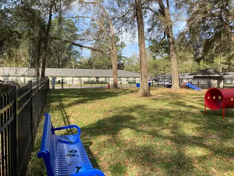 4117 SW 20th Ave, Gainesville, FL 32607 photo 5