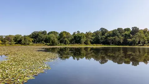6210 Belcrest Rd, Chillum, MD 20782 photo 41