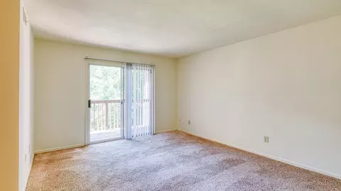 4356 Garst Mill Rd, Cave Spring, VA 24018 photo 24