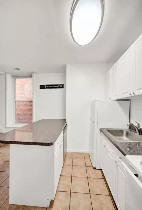 451 W Belden Ave, Chicago, IL 60614 photo 6