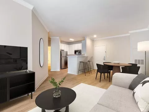 10306 Strathmore Hall St, North Bethesda, MD 20852 photo 12