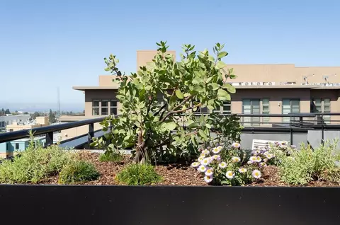 2001 Milvia St, Berkeley, CA 94704 photo 25