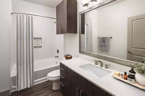 2300 South Blvd, Charlotte, NC 28203 photo 11