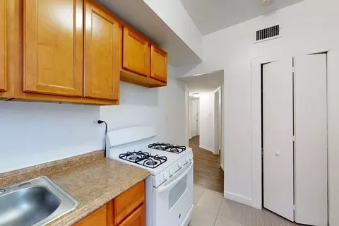 925 E 46th St, Chicago, IL 60653