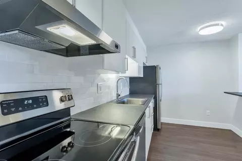 1360 N Williams St, Denver, CO 80218 photo 4