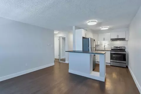 1360 N Williams St, Denver, CO 80218 photo 3