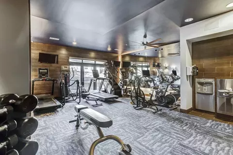 2305 W Alabama St, Houston, TX 77098 photo 14
