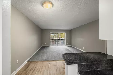 105 Sunnyside Rd, Temple Terrace, FL 33617 photo 10