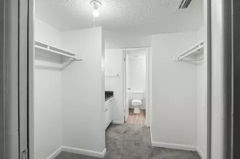 105 Sunnyside Rd, Temple Terrace, FL 33617 photo 44