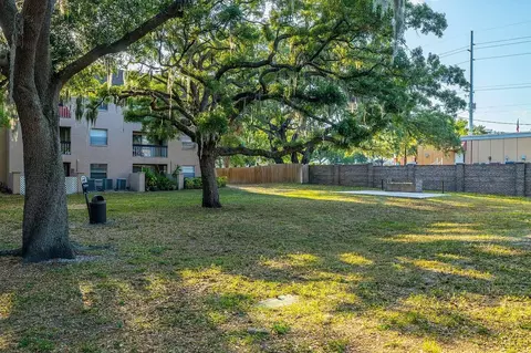 105 Sunnyside Rd, Temple Terrace, FL 33617 photo 21