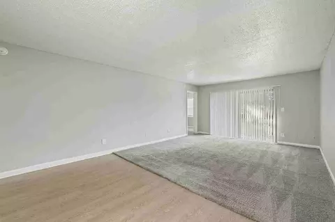 105 Sunnyside Rd, Temple Terrace, FL 33617 photo 30
