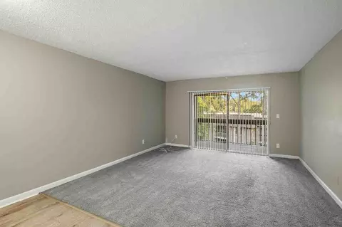 105 Sunnyside Rd, Temple Terrace, FL 33617 photo 38
