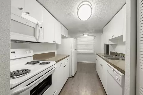105 Sunnyside Rd, Temple Terrace, FL 33617 photo 28