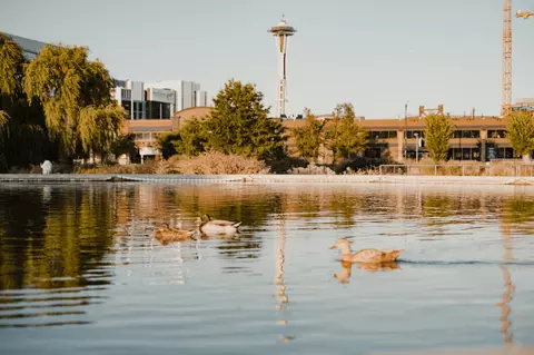 1215 Dexter Ave N, Seattle, WA 98109 photo 46