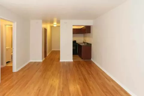 1040 W Hollywood Ave, Chicago, IL 60660