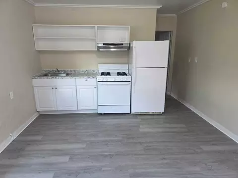 1414 N Lake View Ave, Leesburg, FL 34748