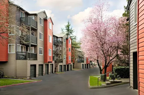 2223 Benson Rd S, Renton, WA 98055 photo 45