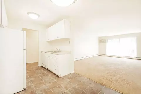 832 3rd Ave, Excelsior, MN 55331