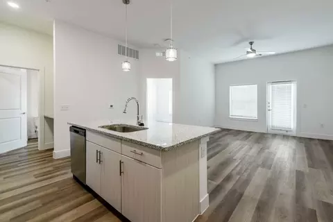 116 Talon Grasp Trl, Leander, TX 78641 photo 41