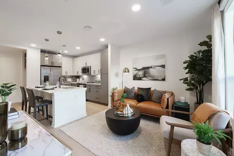 1133 Harding Pl, Charlotte, NC 28204 photo 8