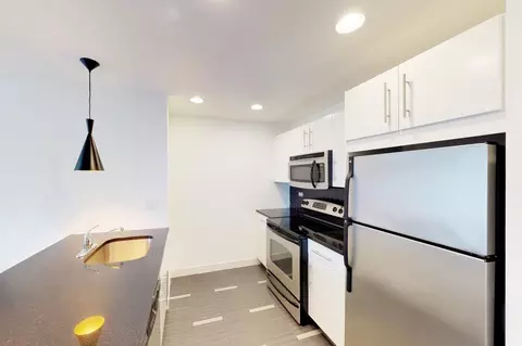 4659 S Drexel Blvd, Chicago, IL 60653 photo 53