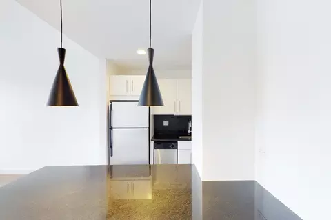 4659 S Drexel Blvd, Chicago, IL 60653 photo 32