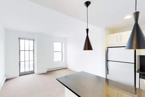 4659 S Drexel Blvd, Chicago, IL 60653 photo 34