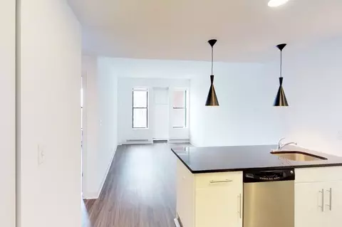 4659 S Drexel Blvd, Chicago, IL 60653 photo 55