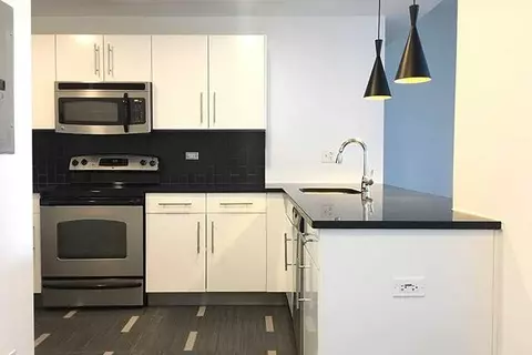 4659 S Drexel Blvd, Chicago, IL 60653 photo 45