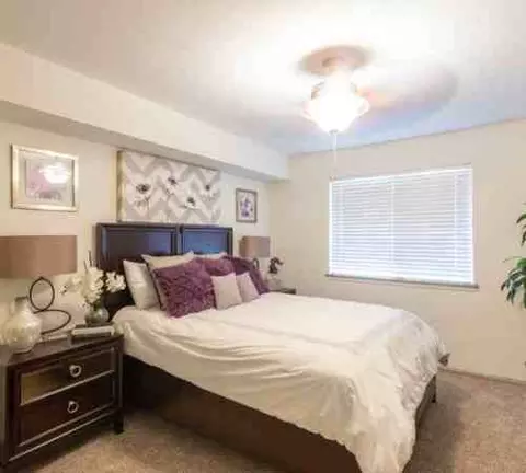 2320 Cherrybrook Ln, Pasadena, TX 77502 photo 18