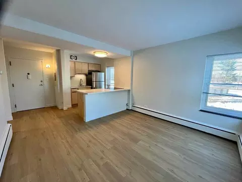 100 Elizabeth St, Duluth, MN 55803 photo 9