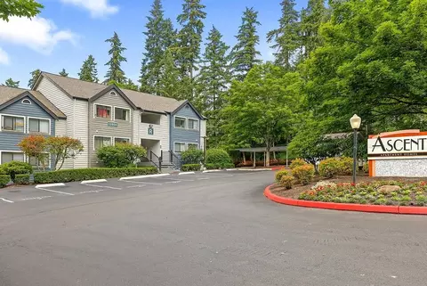 12062 Slater Ave NE, Kirkland, WA 98034 photo 22