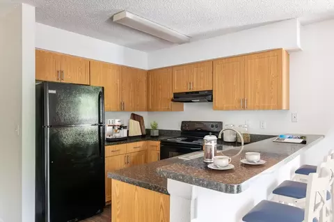 419 N Briggs Ave, Sarasota, FL 34237 photo 13
