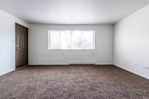 6921 S Cornell Ave, Chicago, IL 60649 photo 16