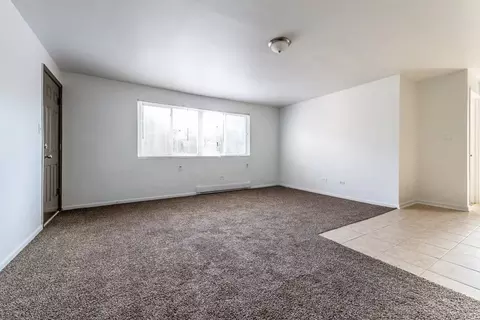 6921 S Cornell Ave, Chicago, IL 60649 photo 9