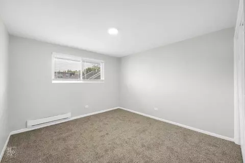 6921 S Cornell Ave, Chicago, IL 60649 photo 13