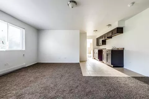 6921 S Cornell Ave, Chicago, IL 60649 photo 7