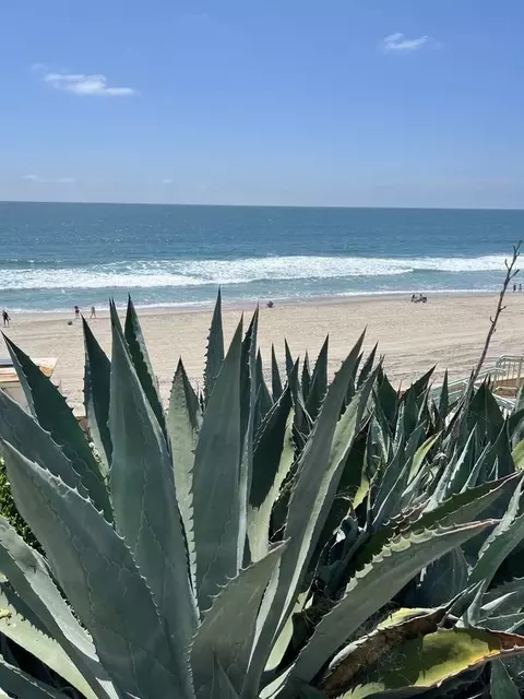 252 Acacia Ave, Carlsbad, CA 92008