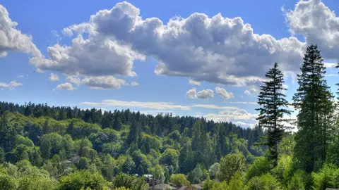 8700 NE Bothell Way, Bothell, WA 98011 photo 24