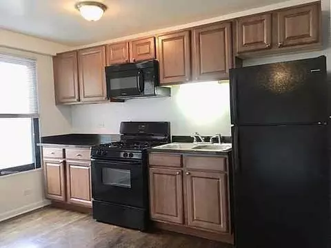 2529 W Fitch Ave, Chicago, IL 60645 photo 3