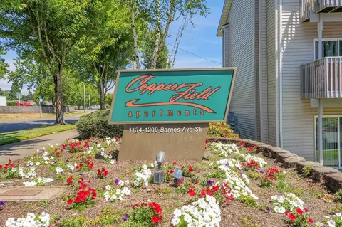 1194 Barnes Ave SE, Salem, OR 97306