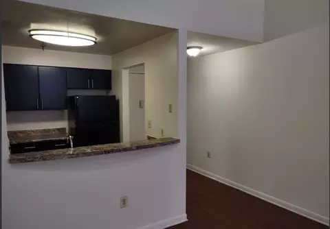 410 W Lombard St, Baltimore, MD 21201 photo 43