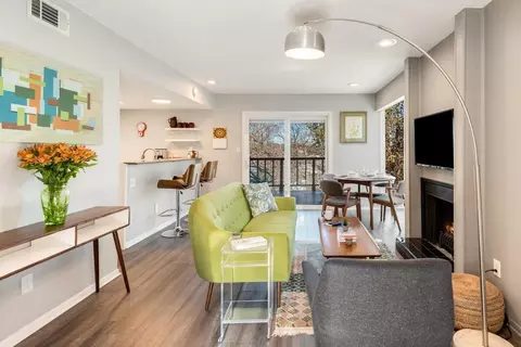 Spring Creek Dr, Austin, TX 78704 photo 45